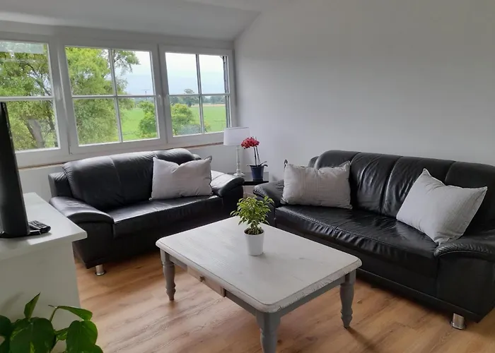 Daire Hannekenbuurs Kleine Kune Kune Farm Weeze